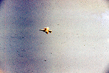 1973 Joint Exercise with PI Military